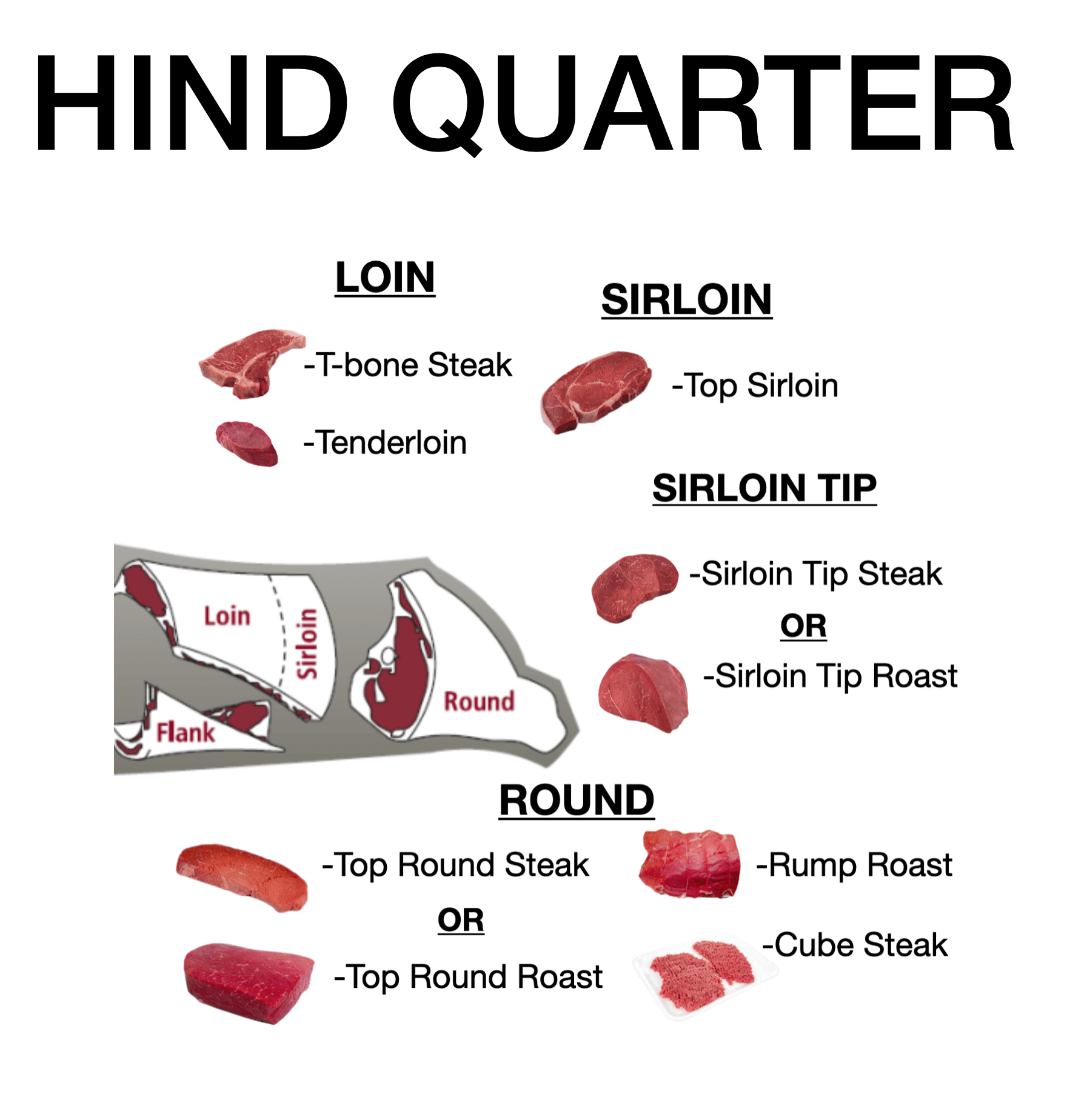 Hind Quarter