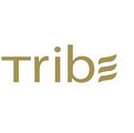 Tribe Hotel